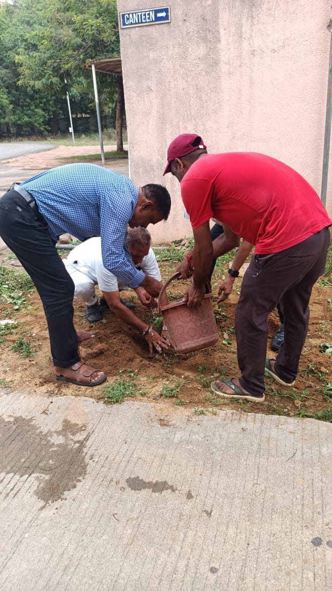 Tree Plantation 2024