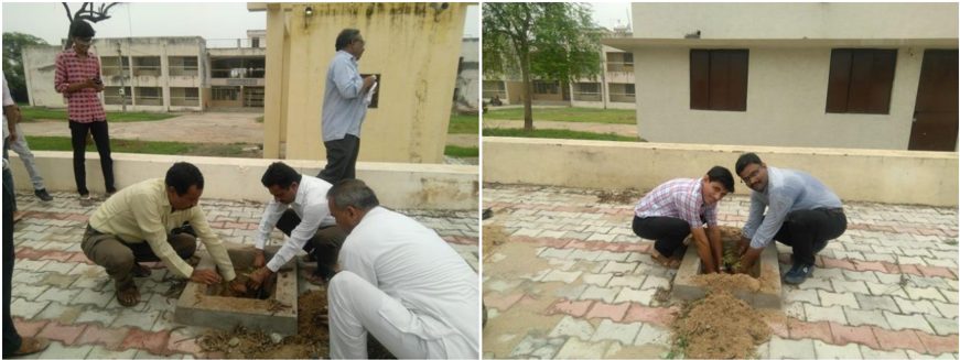 Tree Plantation Drive 2018