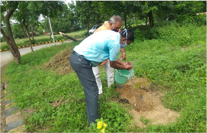 Tree Plantation Drive 2020