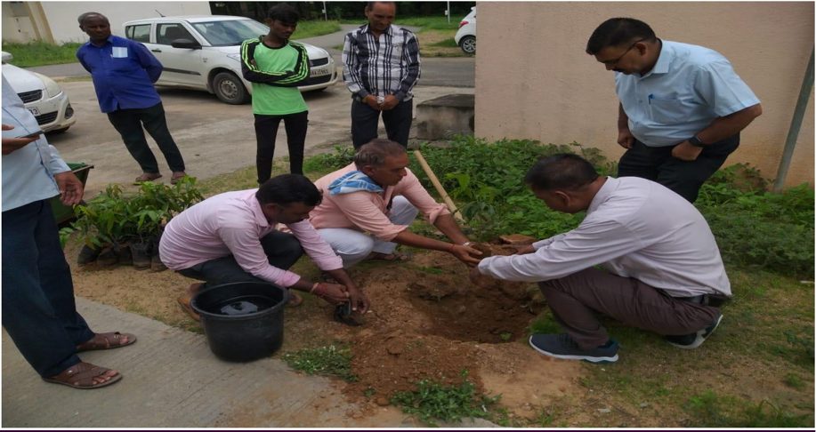Tree Plantation Drive