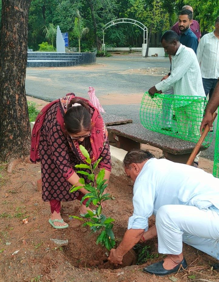 Tree Plantation