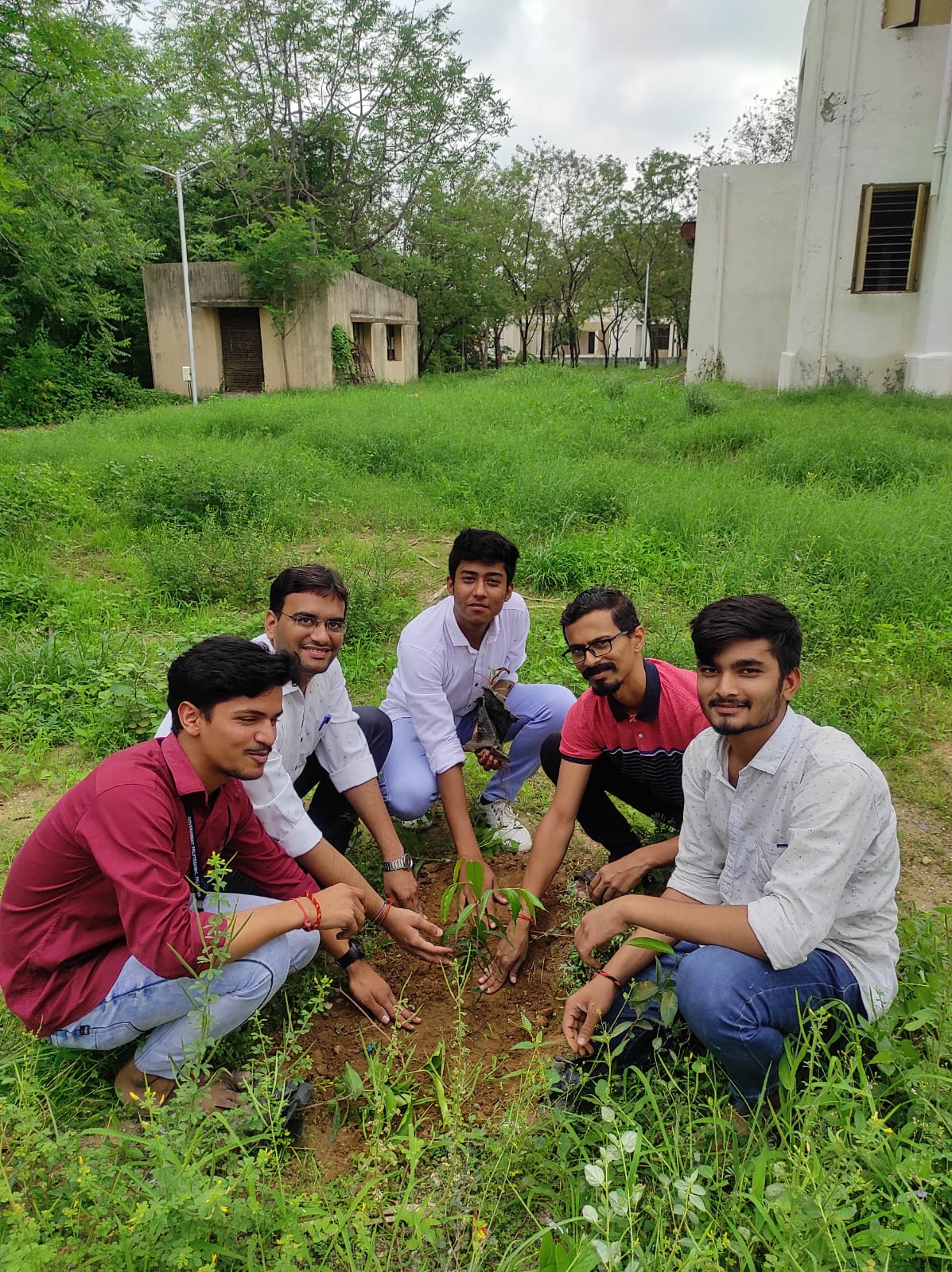 Tree Plantation Drive