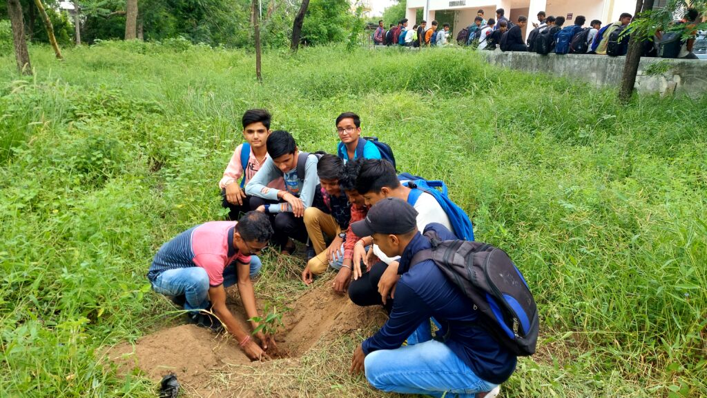 Tree Plantation Drive